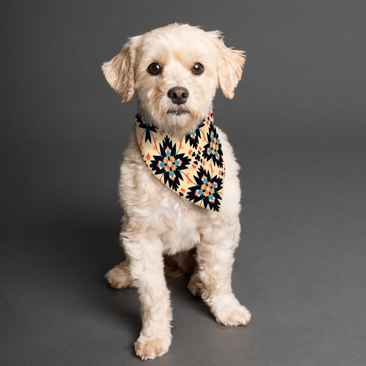 Azteca Southwest Pet's Scarf