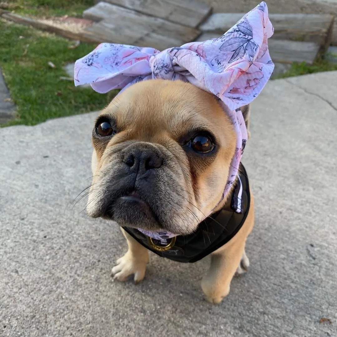 Frenchiestore Pet Head Bow | Romance