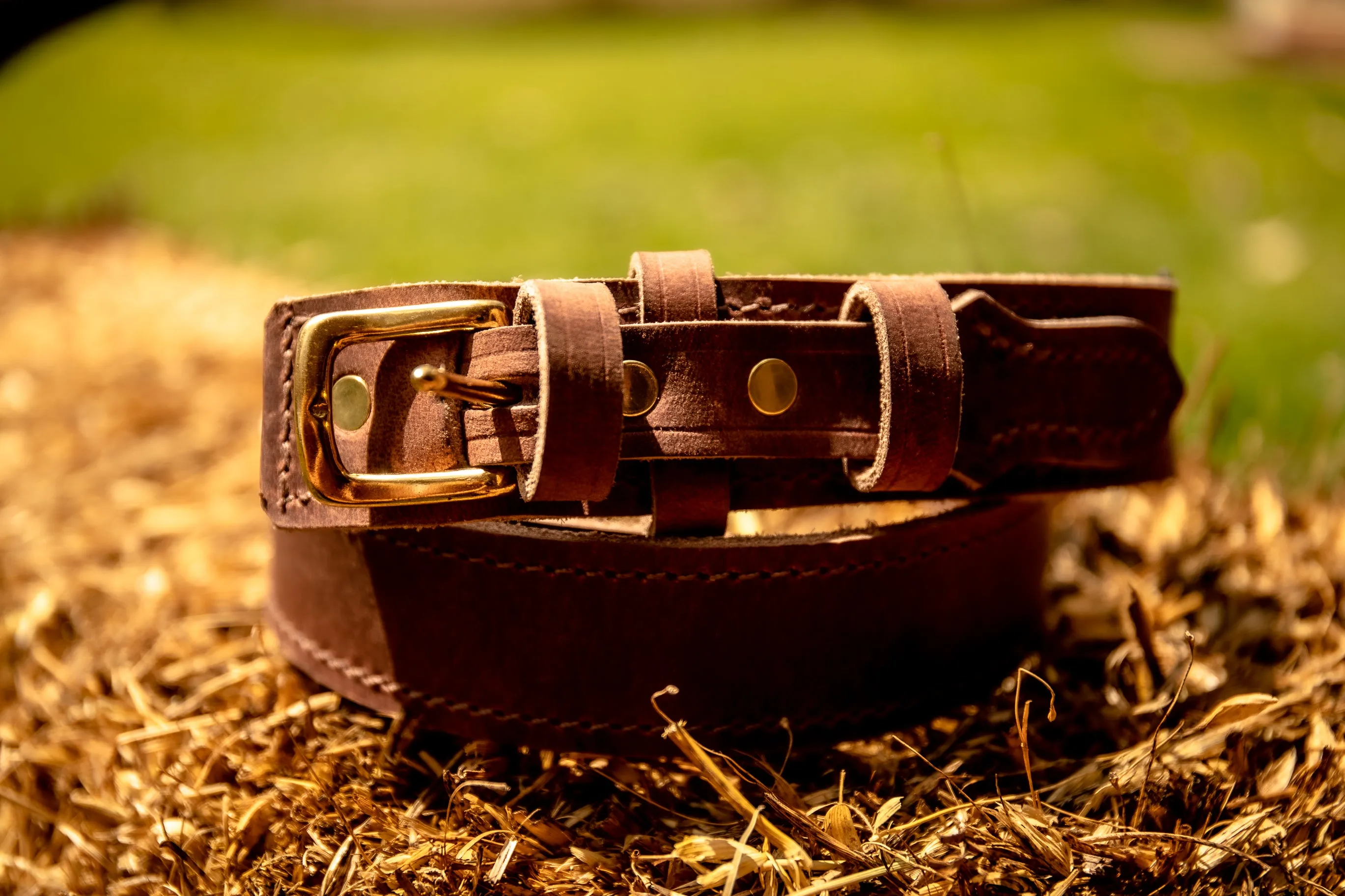 Inverway Belt