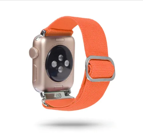 Plain Apple Watch Strap