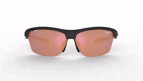 Tifosi Optics Intense Sunglasses